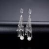 Women Luxury Earrings - WE169