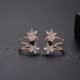 WE718- Rose Gold Earrings for Women