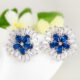 WE182 - Blue Earrings for Women