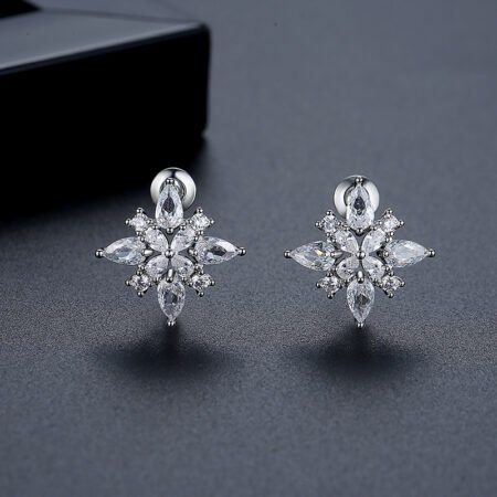 WE766 - Luxary Earrings for Women