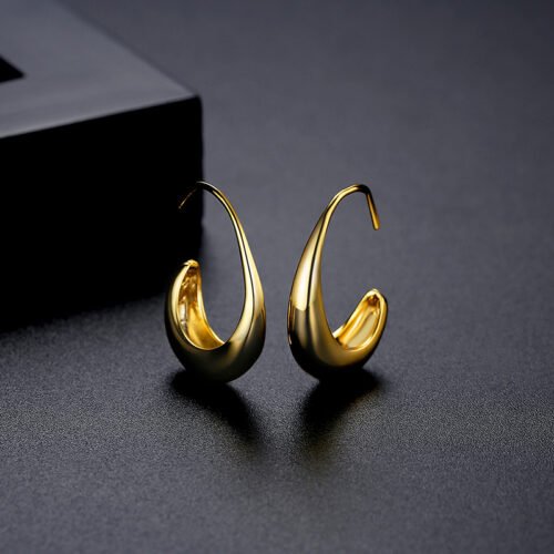 WE789 - Luxary Earrings for Women