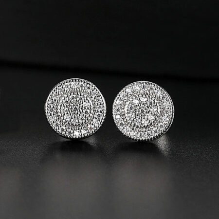 WE793 - Luxary Earrings for Women (Copy)