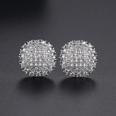 WE824 - Luxary Earrings for Women