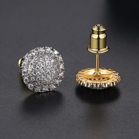 WE824 - Luxary Earrings for Women