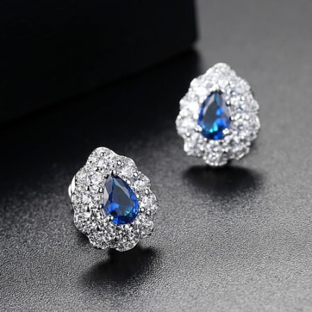 WE863 - Luxary Earrings for Women