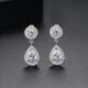WE873 - Luxary Earrings for Women