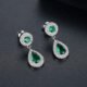 WE873 - Luxary Earrings for Women
