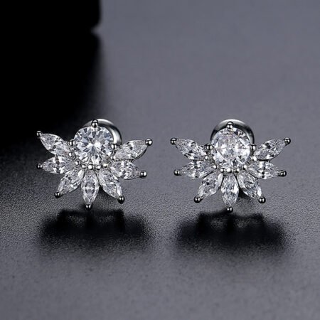 WE771 - Luxary Earrings for Women