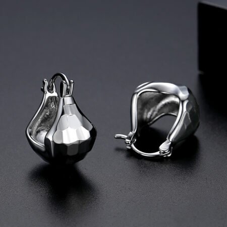 WE778 - Luxary Earrings for Women