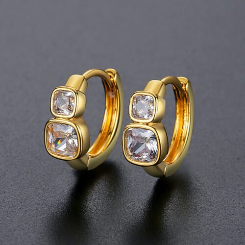 WE779- Luxary Earrings for Women