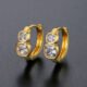 WE779- Luxary Earrings for Women