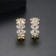 WE806 - Luxary Earrings for Women