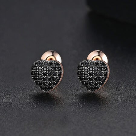 WE808 - Luxary Earrings for Women