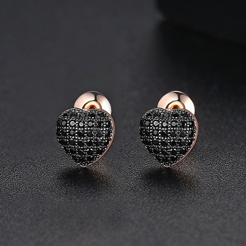 WE808 - Luxary Earrings for Women