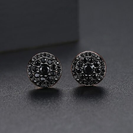 WE809 - Luxary Earrings for Women