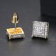 WE818 - Luxary Earrings for Women