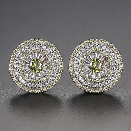 WE825 - Luxary Earrings for Women