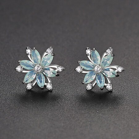 WE834 - Luxary Earrings for Women