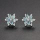 WE834 - Luxary Earrings for Women