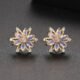WE834 - Luxary Earrings for Women