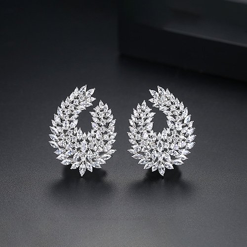 WE840 - Luxary Earrings for Women