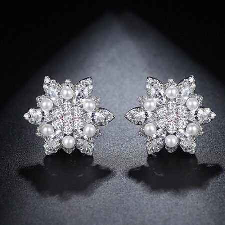 WE843 - Luxary Earrings for Women