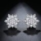 WE843 - Luxary Earrings for Women