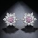 WE843 - Luxary Earrings for Women