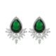 WE848 - Luxary Earrings for Women