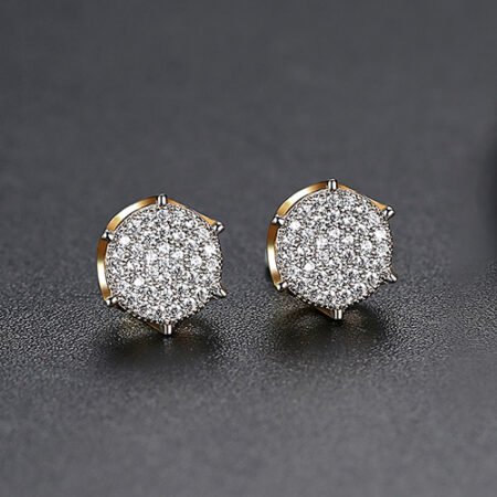 WE854 - Luxary Earrings for Women