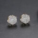 WE854 - Luxary Earrings for Women
