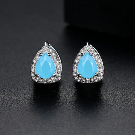WE856 - Luxary Earrings for Women