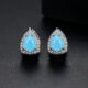 WE856 - Luxary Earrings for Women