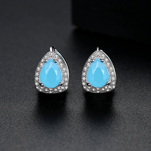 WE856 - Luxary Earrings for Women