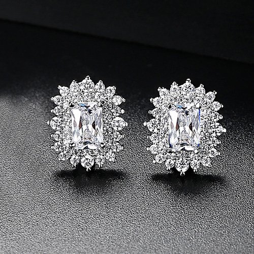 WE860 - Luxary Earrings for Women