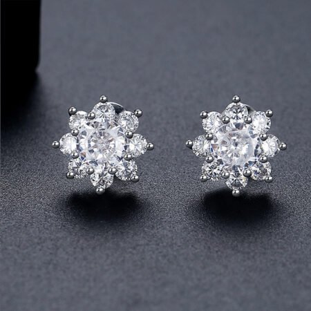 WE866 - Luxary Earrings for Women
