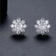 WE866 - Luxary Earrings for Women