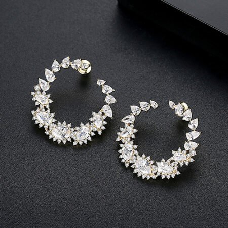 WE872 - Luxary Earrings for Women