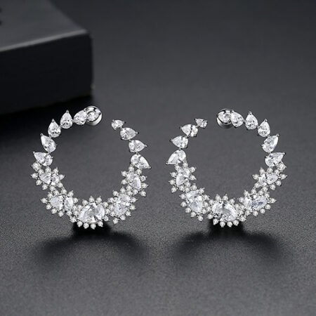 WE872 - Luxary Earrings for Women