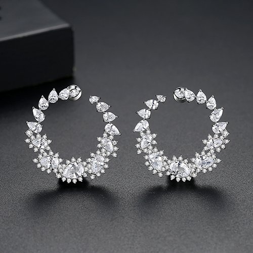 WE872 - Luxary Earrings for Women