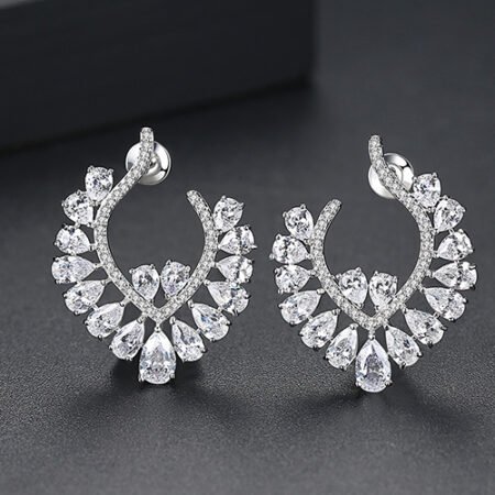 WE874 - Luxary Earrings for Women