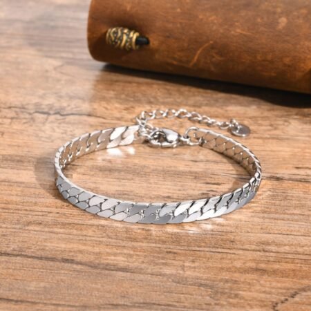 WM-B389 - Silver 316 Stainless Steel Bracelet