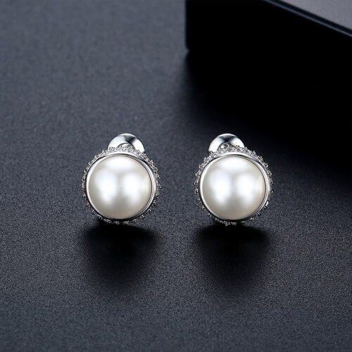 WE910 - Luxary Earrings for Women