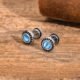 WM-E64 Blue Ear Studs Men Earring